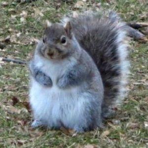 Meet your Posher, Jake